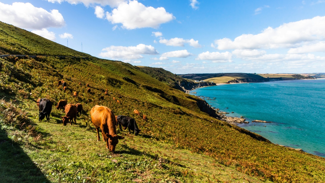 Cultural Protection Training in Devon